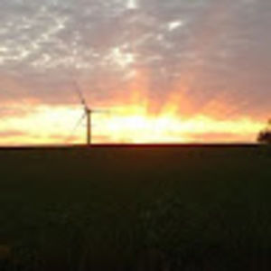 Meet your Posher, Tanya